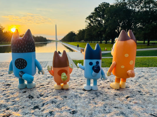 Bluey looking at the sunrise