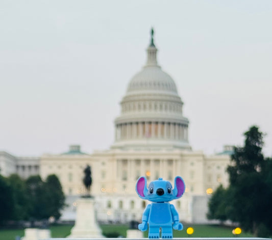 Snitch at the Capitol