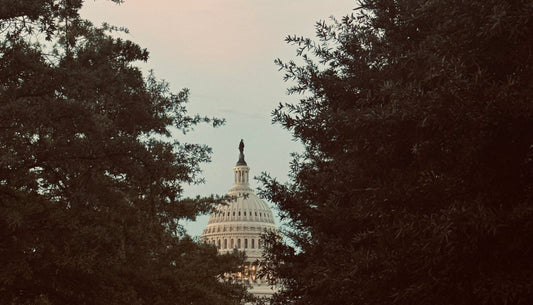 US Capitol