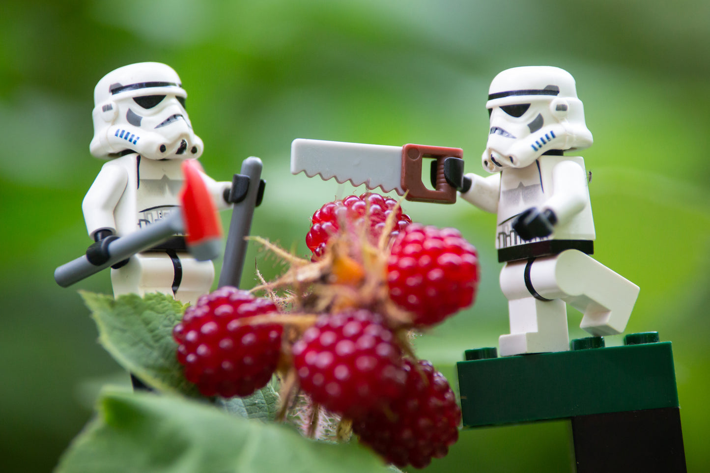 Raspberry Leaf Troopers