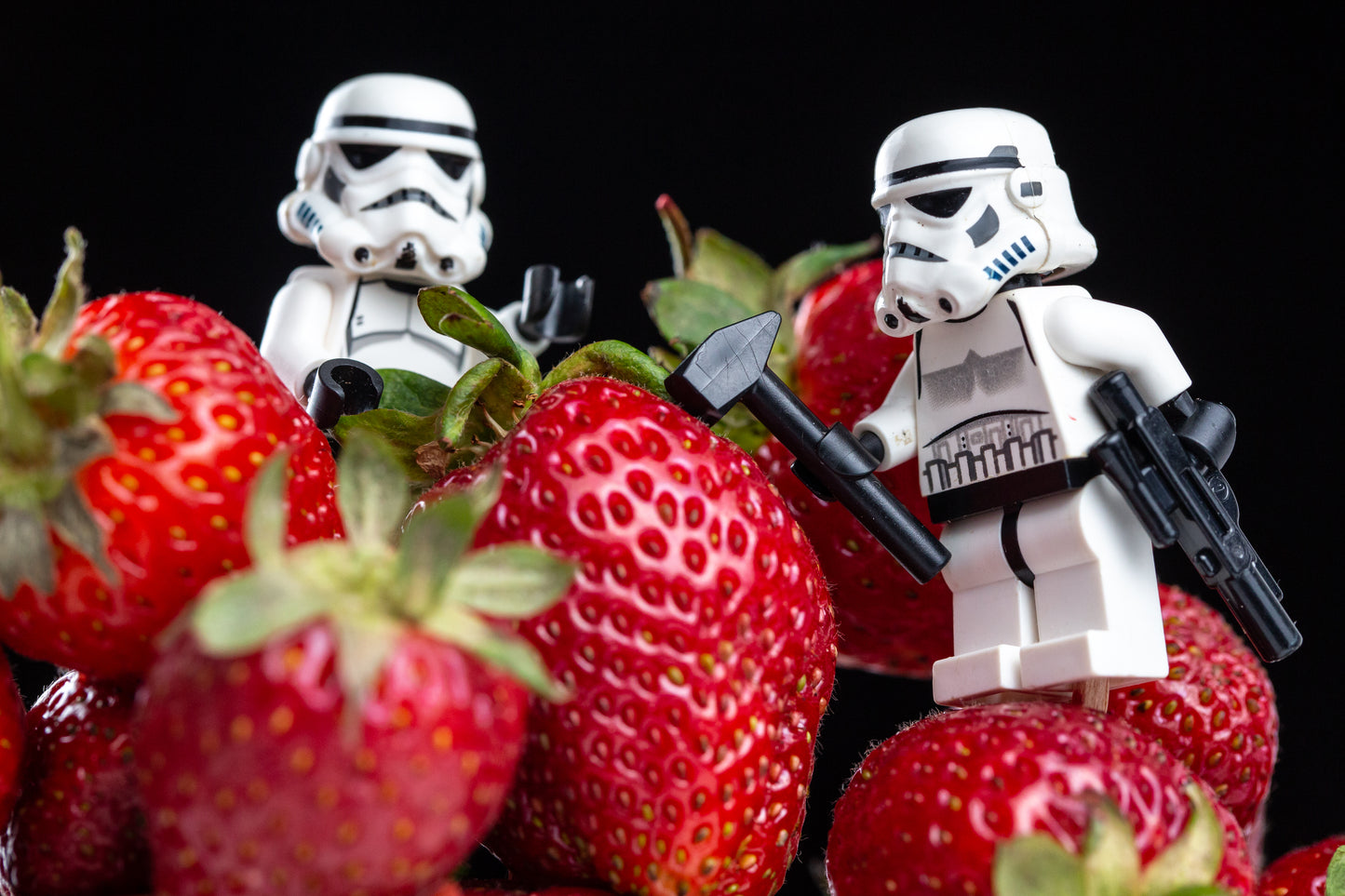 Strawberries and Troopers