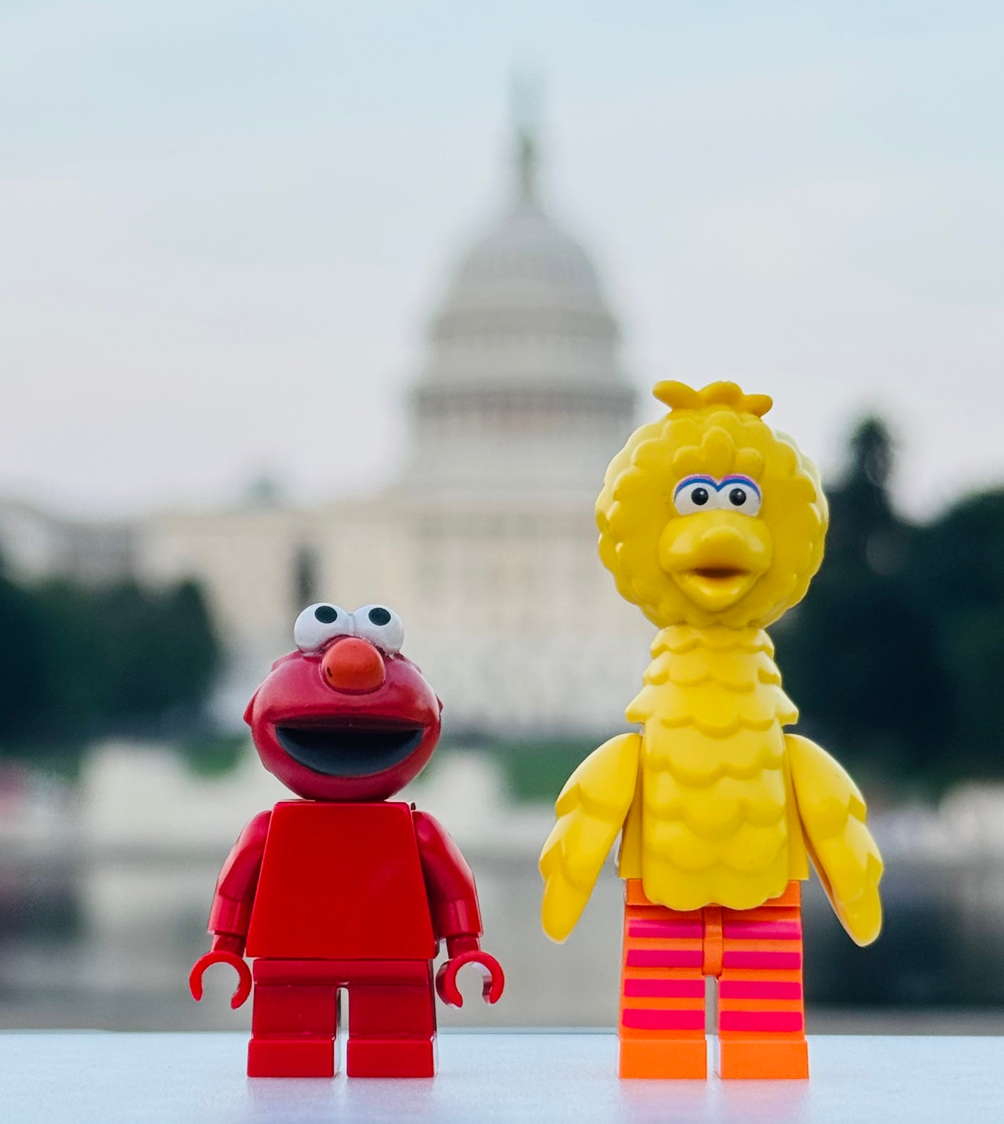 Elmo and Big Bird at the Capitol ￼