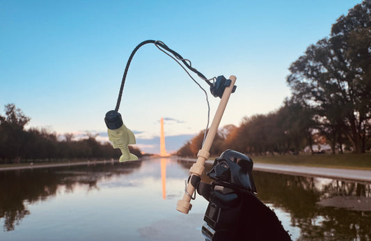 Vader, fishing at the reflecting pool ￼