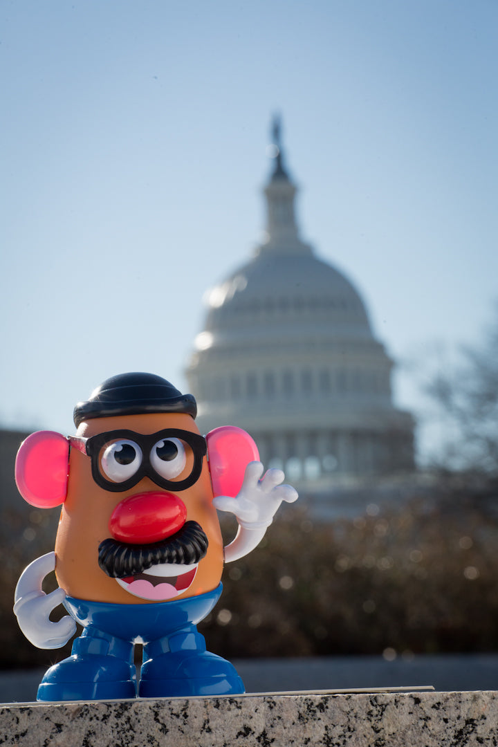 Mr.Potato head Capitol
