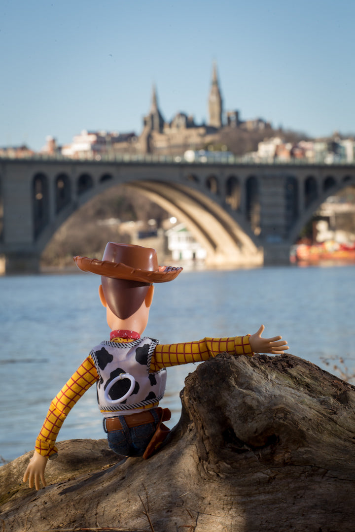 Woody in Georgetown
