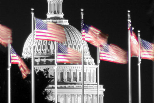 Capitol - Flags in black and white