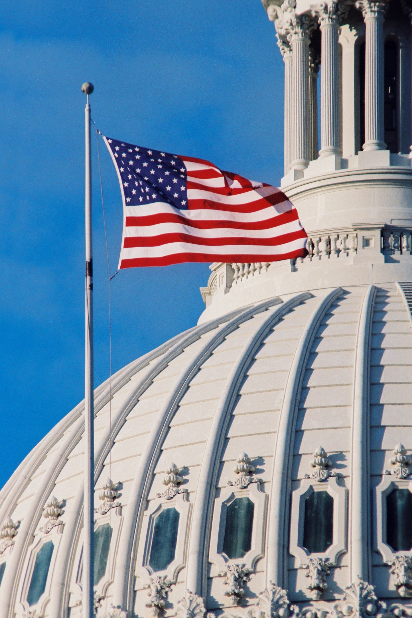 Capitol + Flag