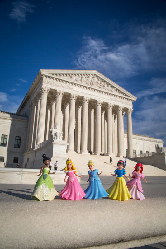 Disney Princess with Lincoln