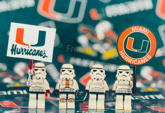 University of Miami