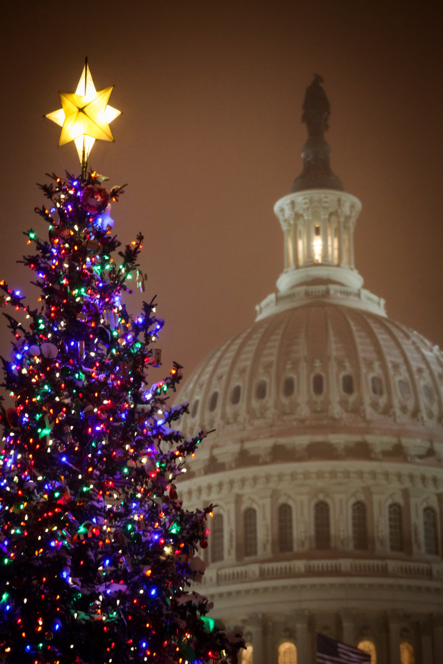 Holidays at the Capitol - vertical