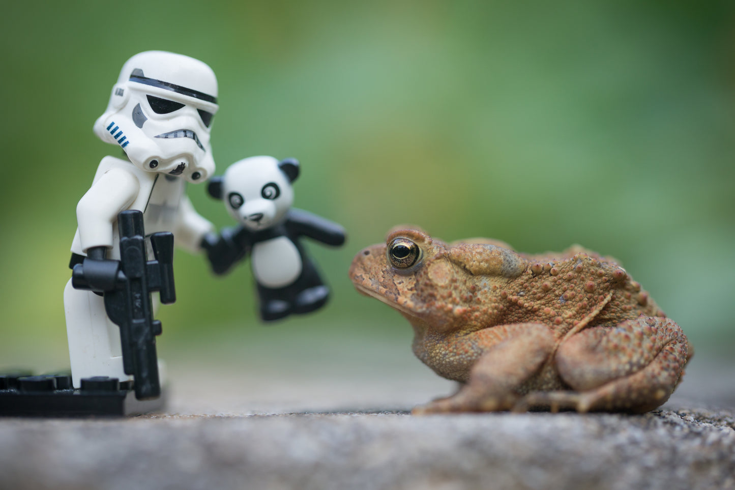 Trooper and Frog
