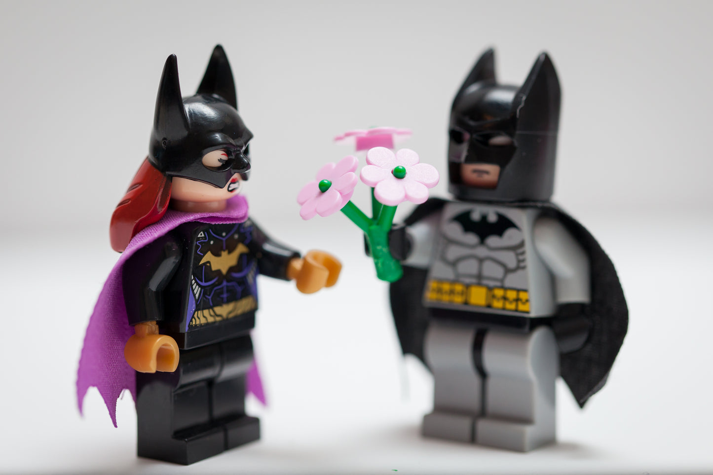 Batman giving flowers to Cat woman