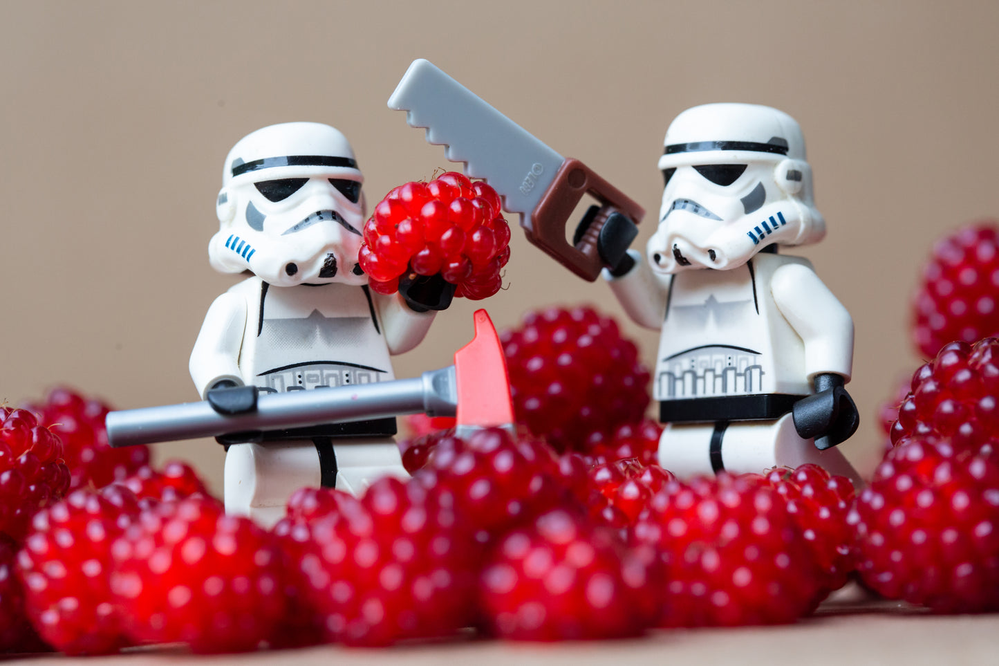 Raspberries and Troopers