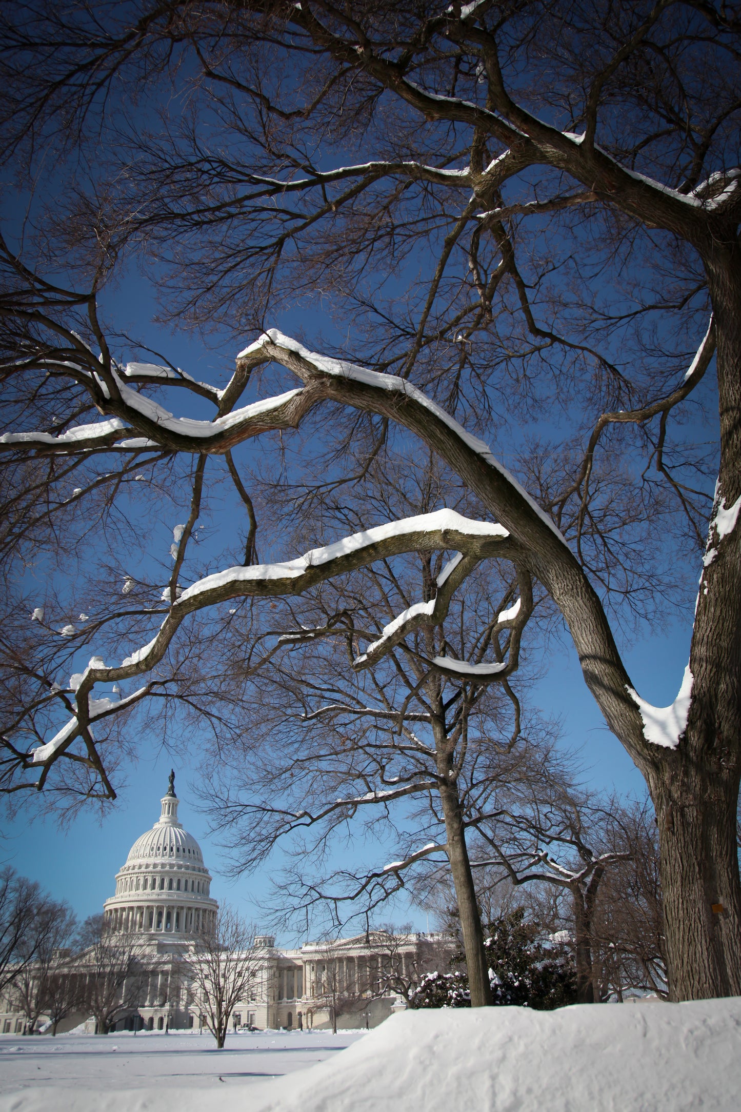 Winter Capitol